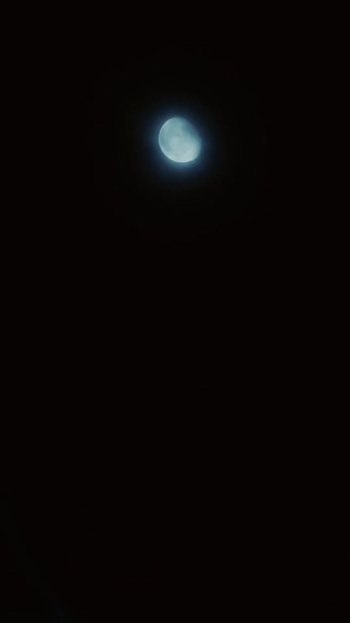 Tập 15