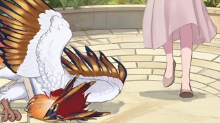 Episode 11