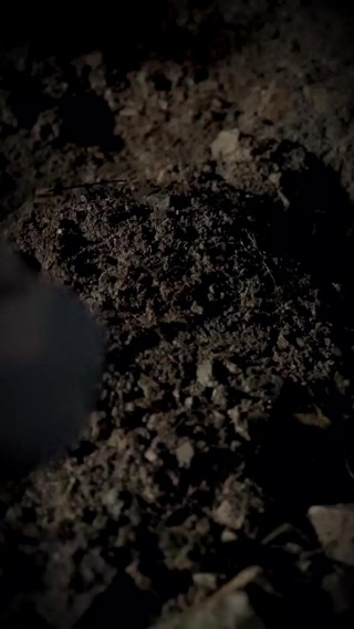 Épisode 3