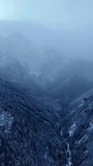 Bölüm 1