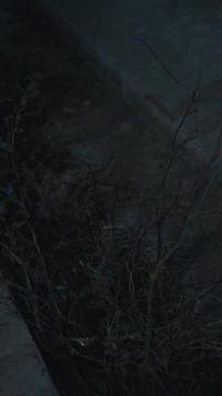 話 1