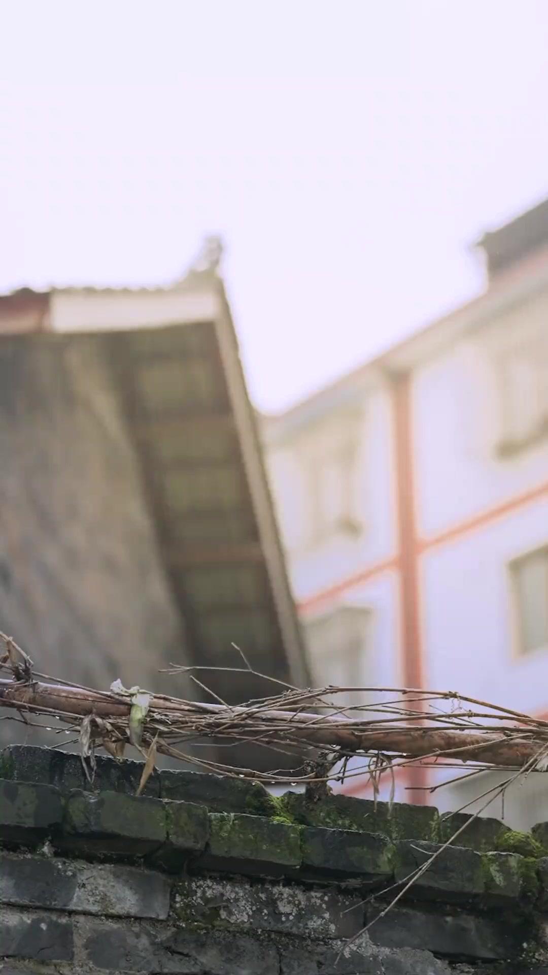 Épisode 3