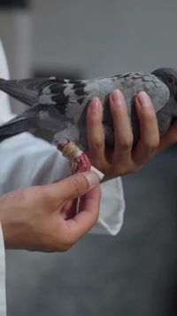ตอนที่ 6