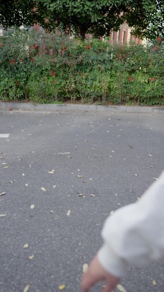 Épisode 8