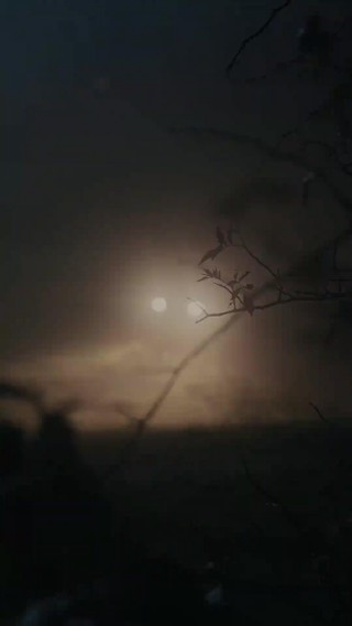 Épisode 15