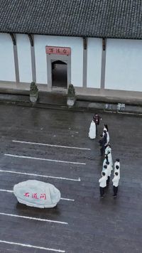Épisode 8