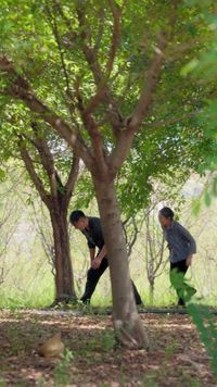 Episode 20