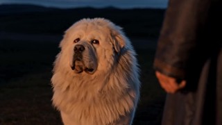 Episódio 12