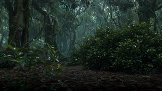 Episódio 17