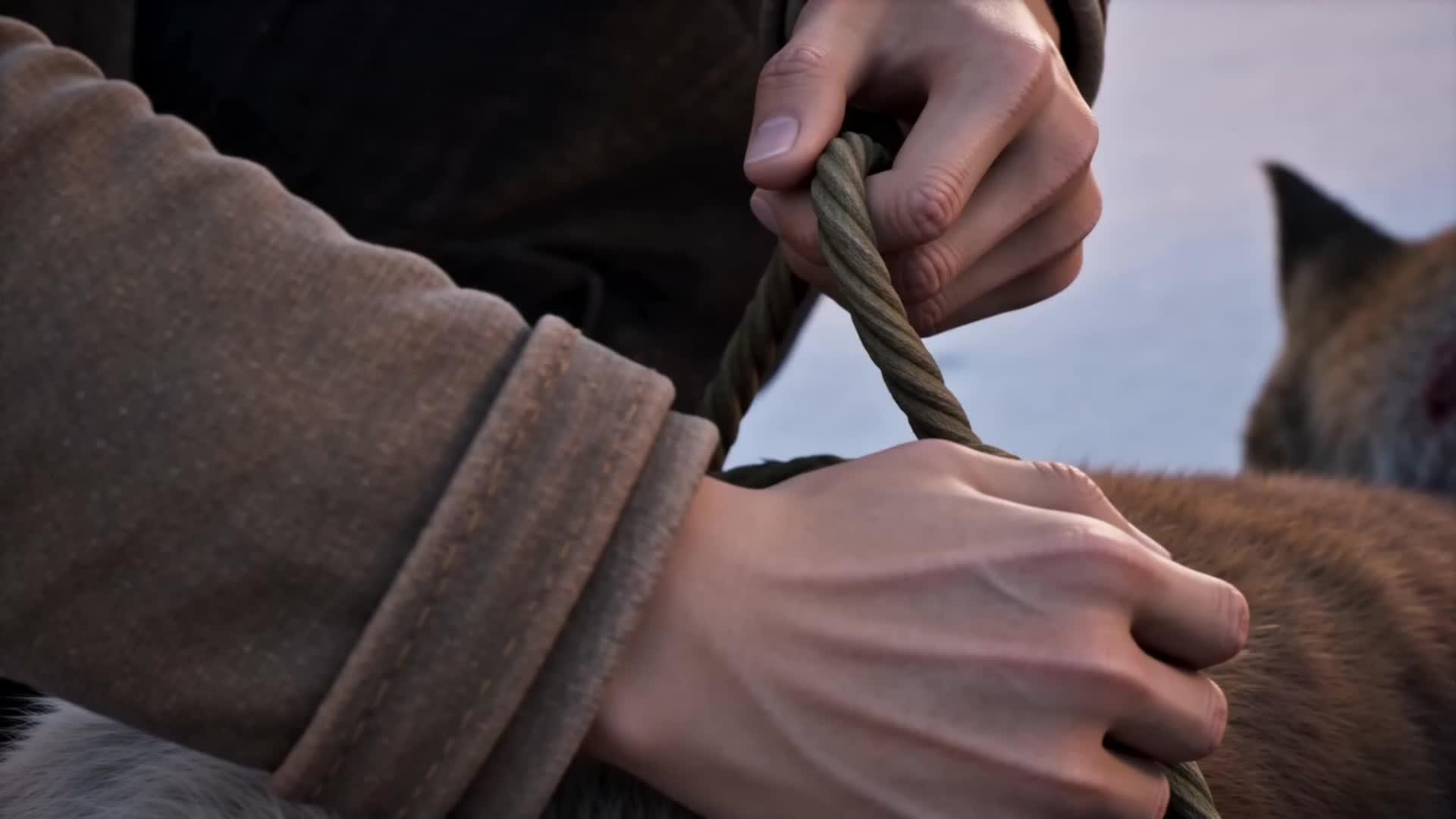 Épisode 11