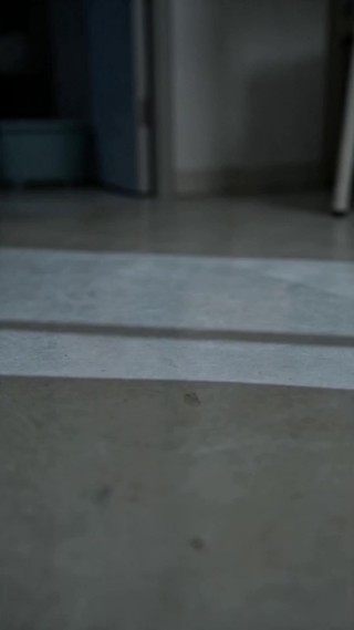 話 23