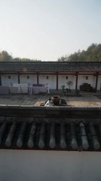 Episode 29