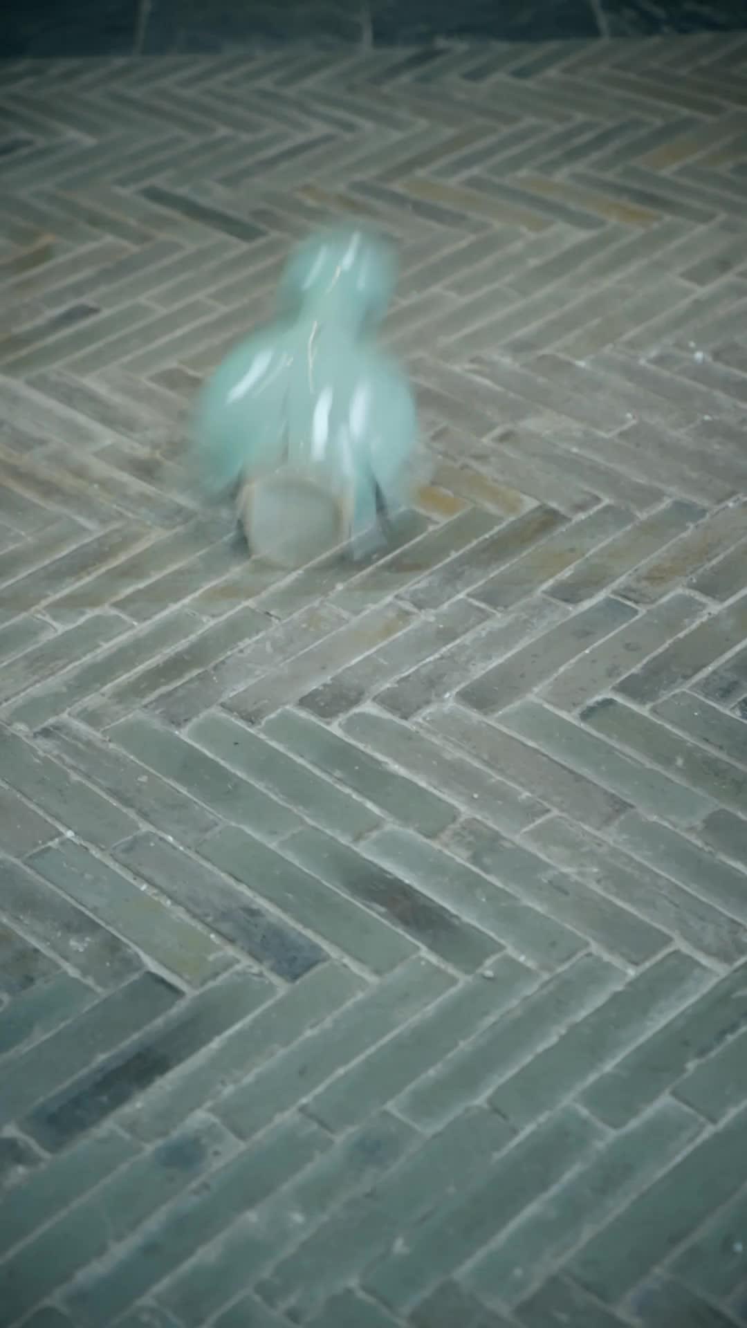 Episode 14