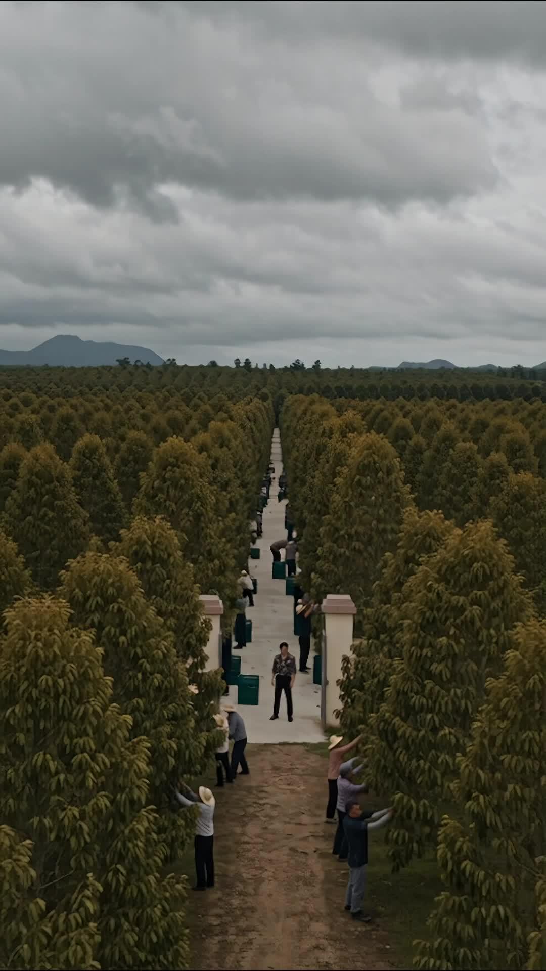 ตอนที่ 20