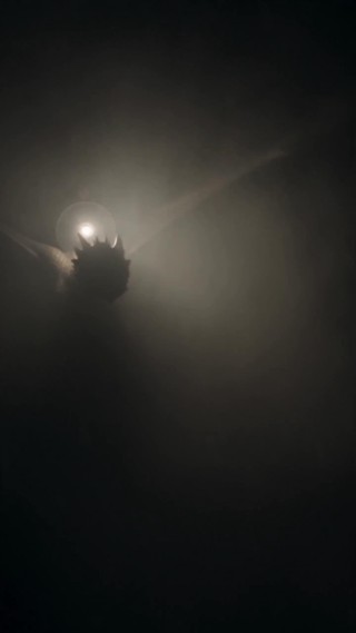 Episodio 14
