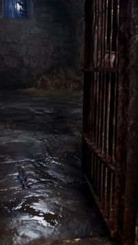 Episode 28