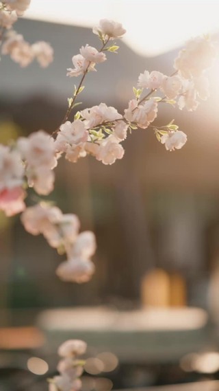 ตอนที่ 19