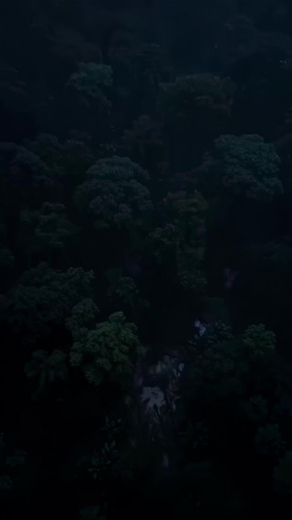 Episode 24