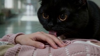 Episodio 13