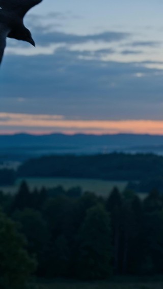 Bölüm 29