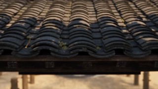 Episode 21