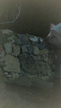 Épisode 18