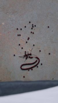 حلقة 14