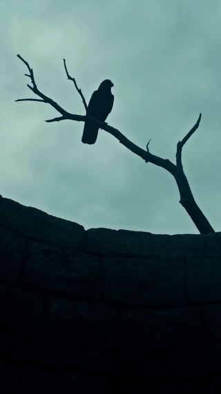 Episod 1