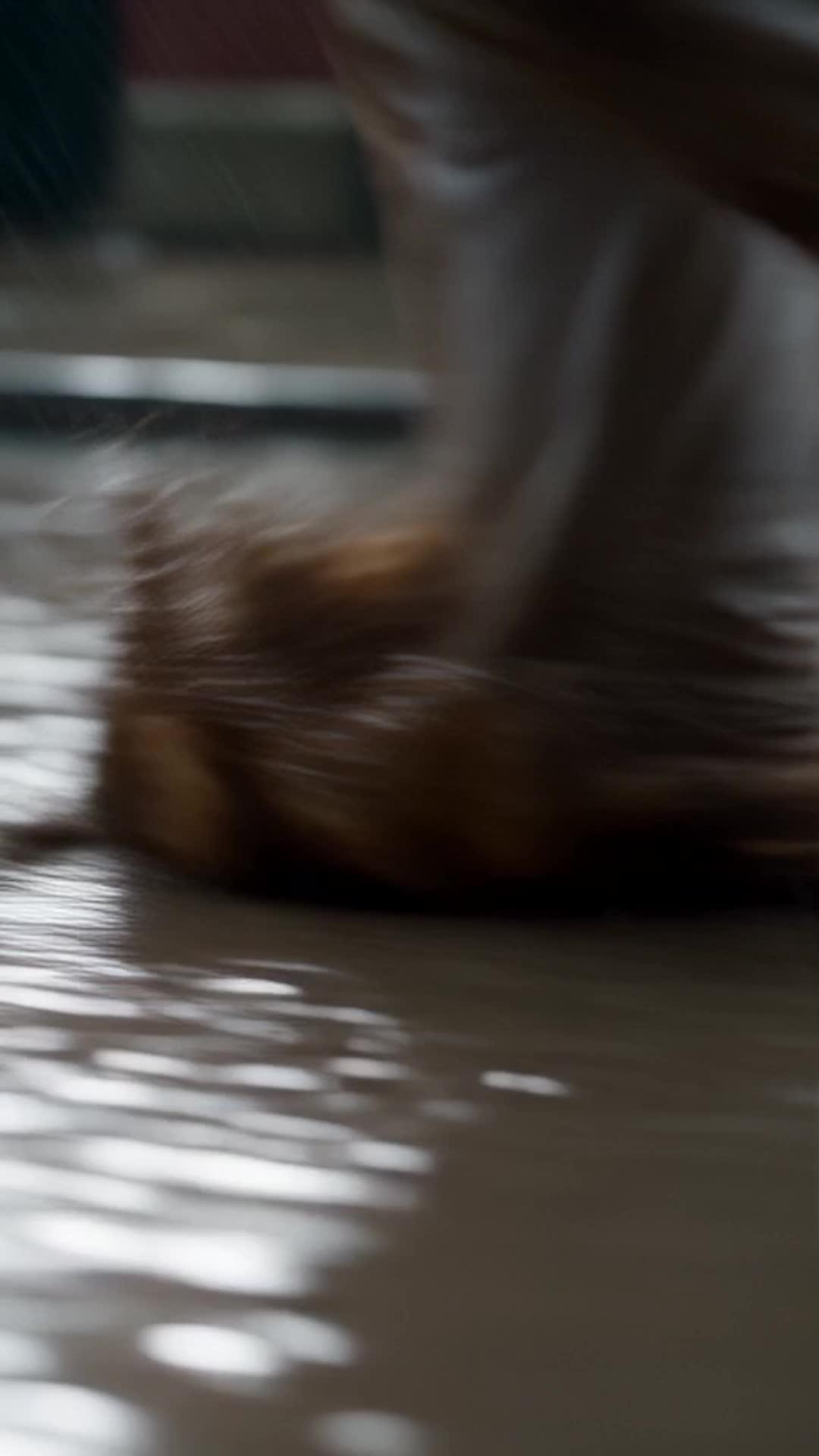 Épisode 3