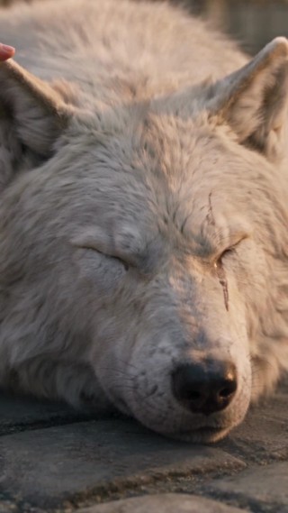 Épisode 12