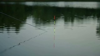 Episode 22