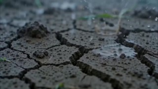 Episode 29