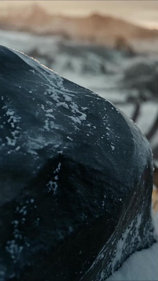 Épisode 20