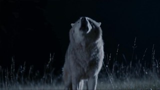 Episódio 1