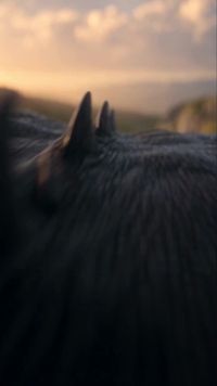 Episode 25