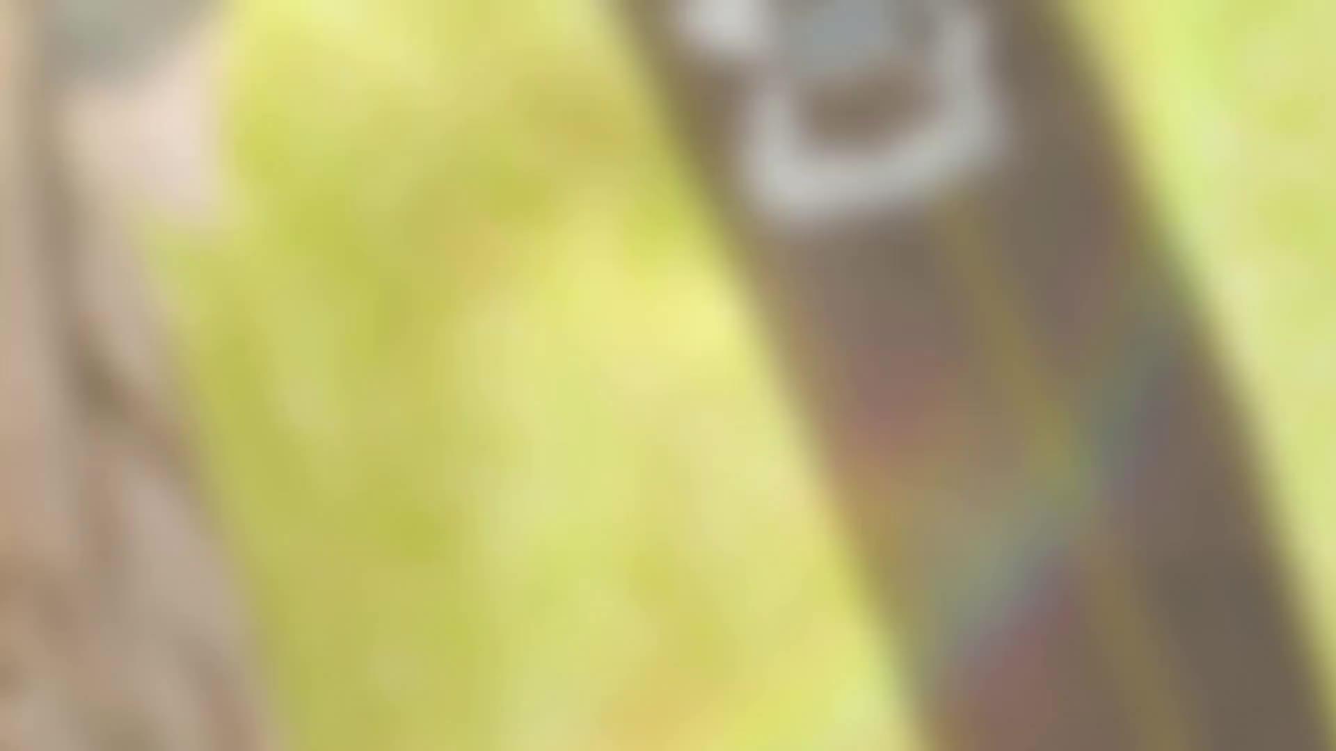 화 10