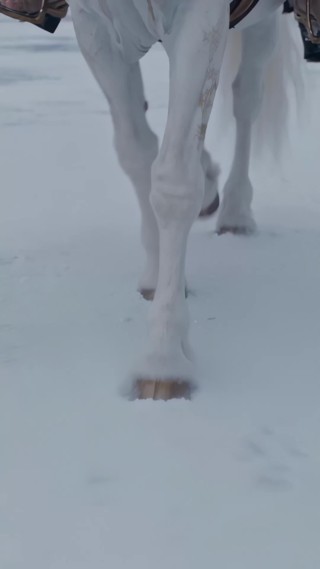 Épisode 12