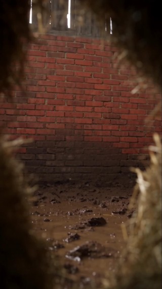 Episódio 13