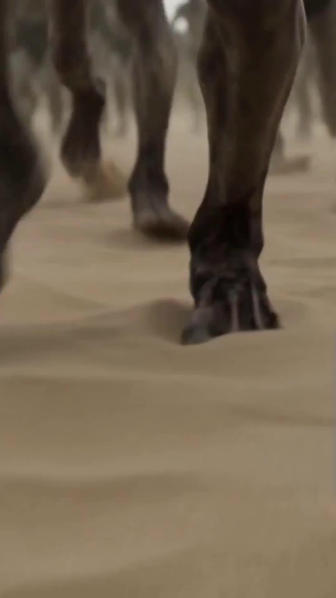 Épisode 9