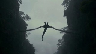 ตอนที่ 17