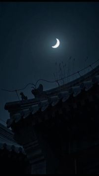 Épisode 11