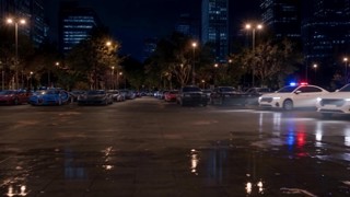 Episode 29