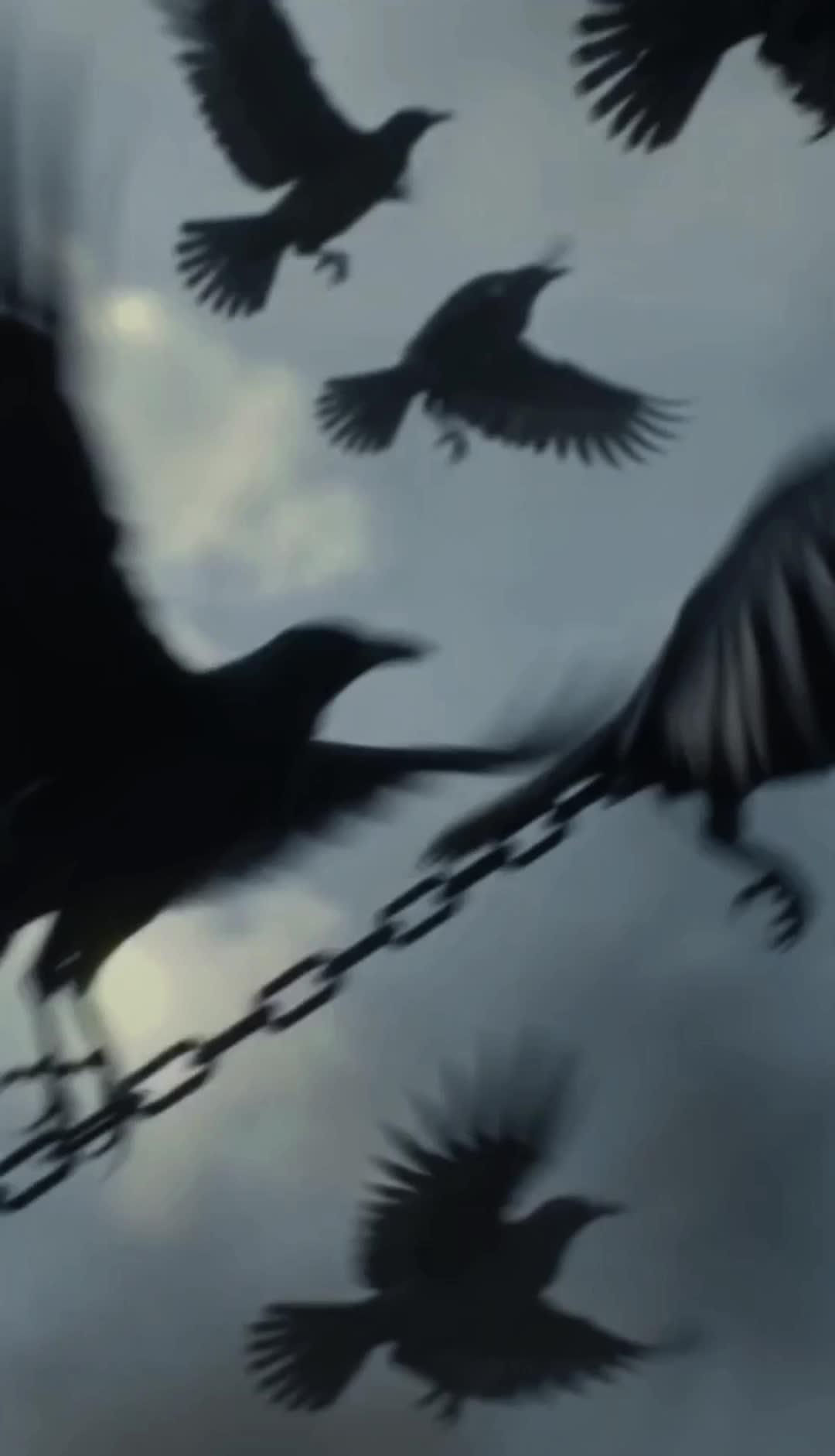 Episódio 28