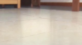 Épisode 28