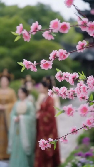 화 14