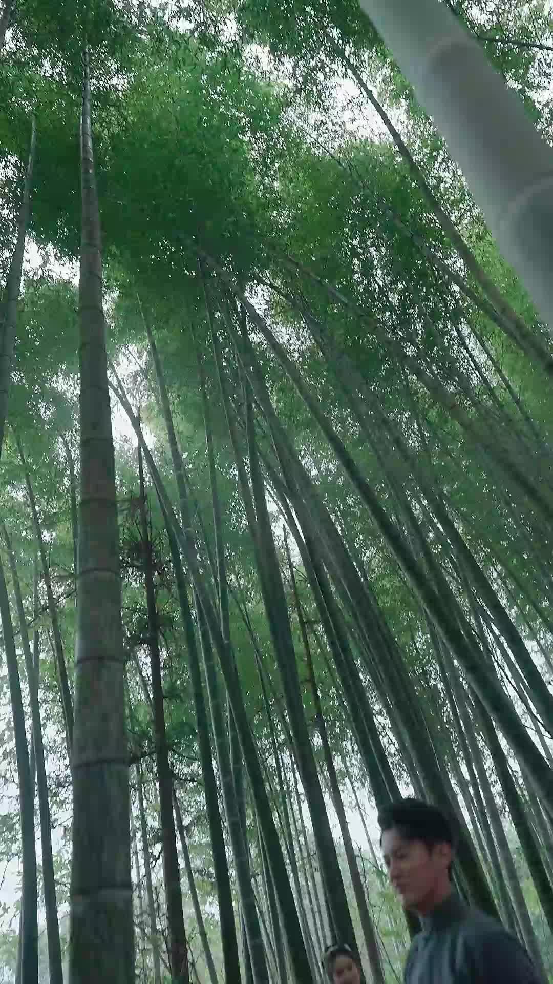話 5