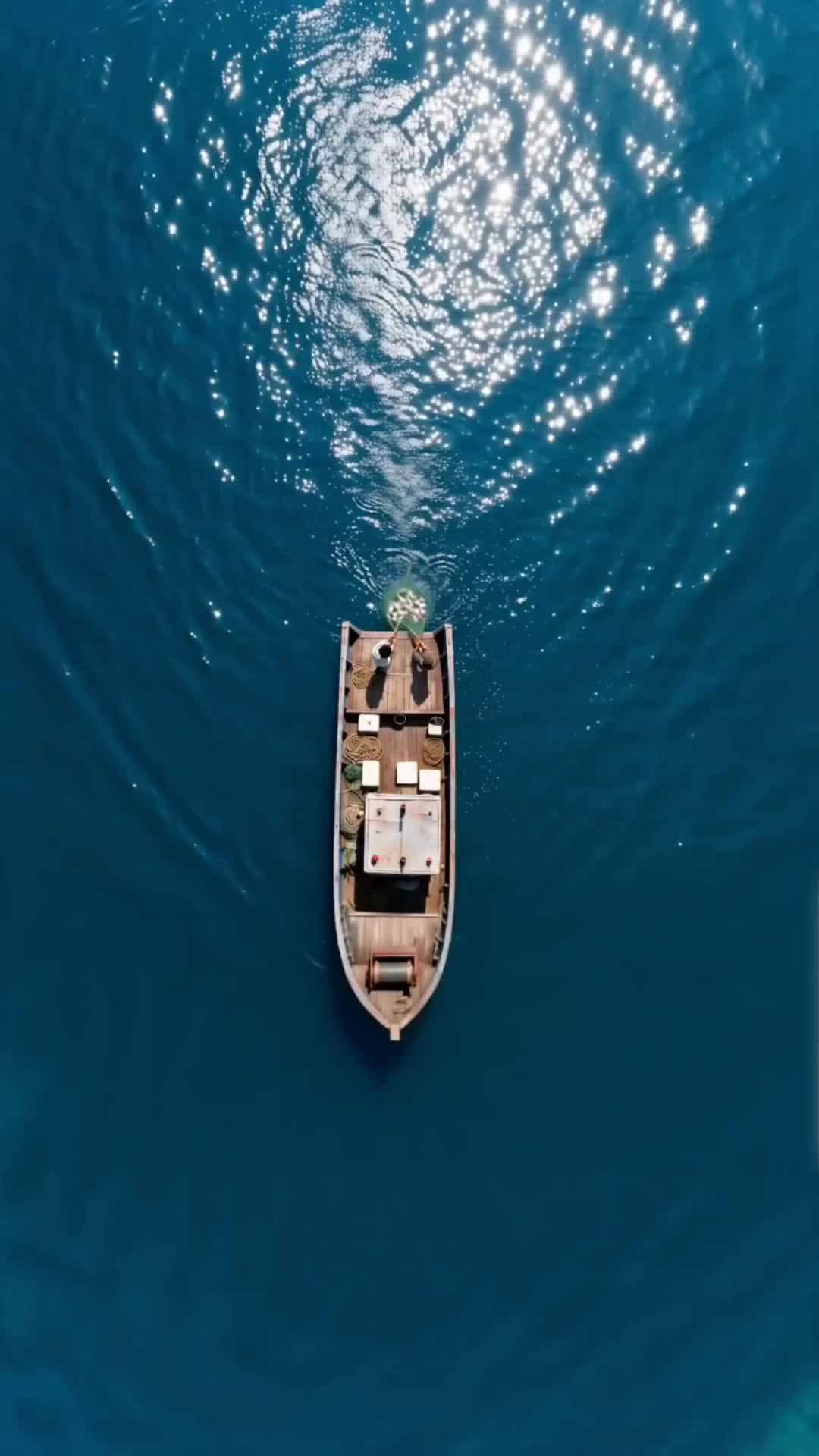 Episodio 6