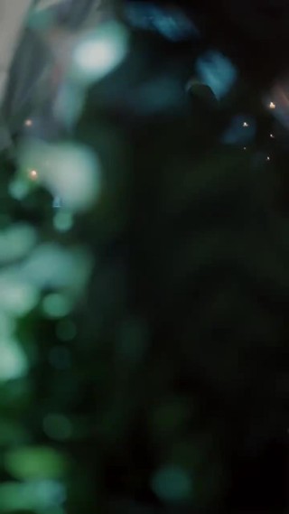 Episódio 16