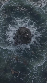 Episodio 28