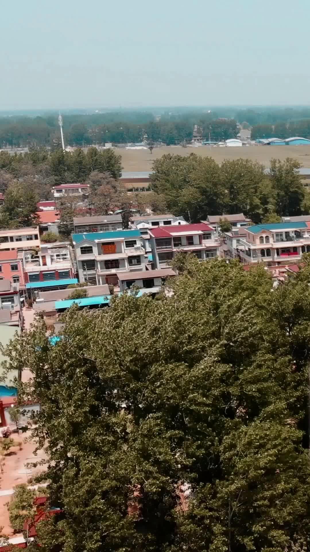 Episódio 20